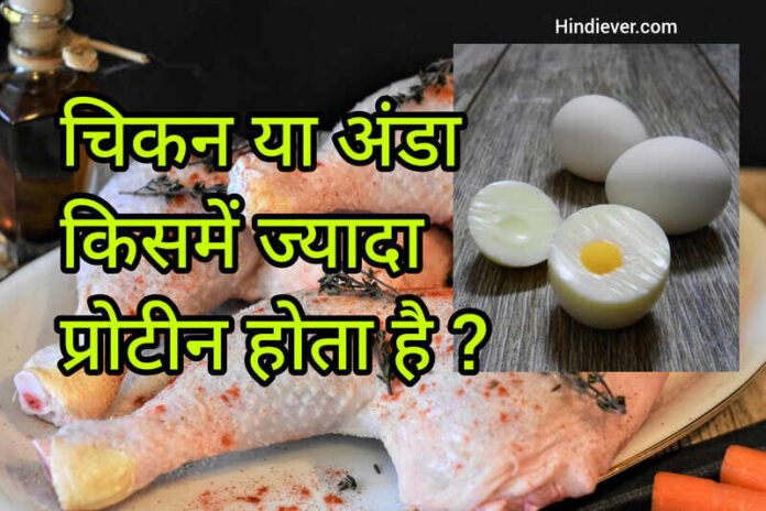Chicken or egg which has more protine
