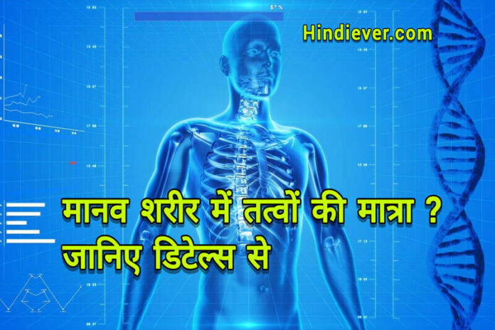 Elements in the Human Body